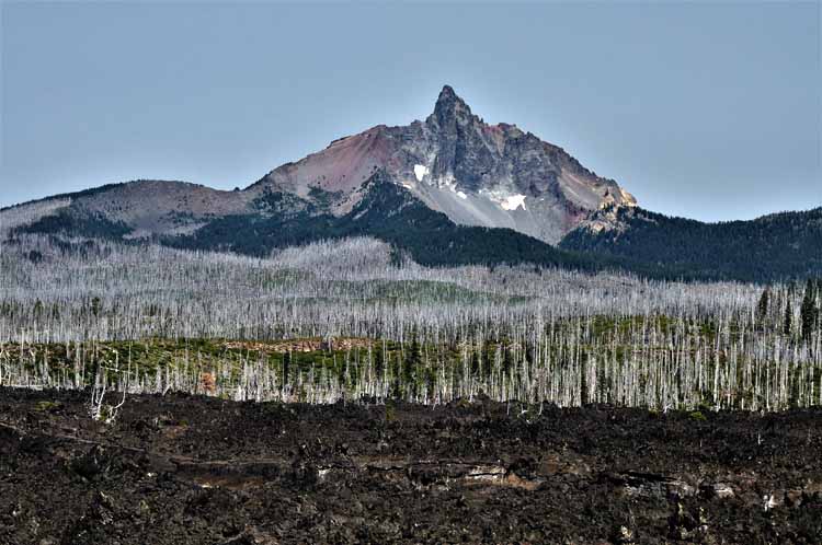 mt. washington